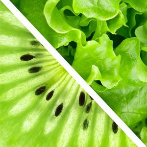 Nutritional-Healthy-Family-Package-Berkshire Nutritional-Healthy-Family-Package-Berkshire