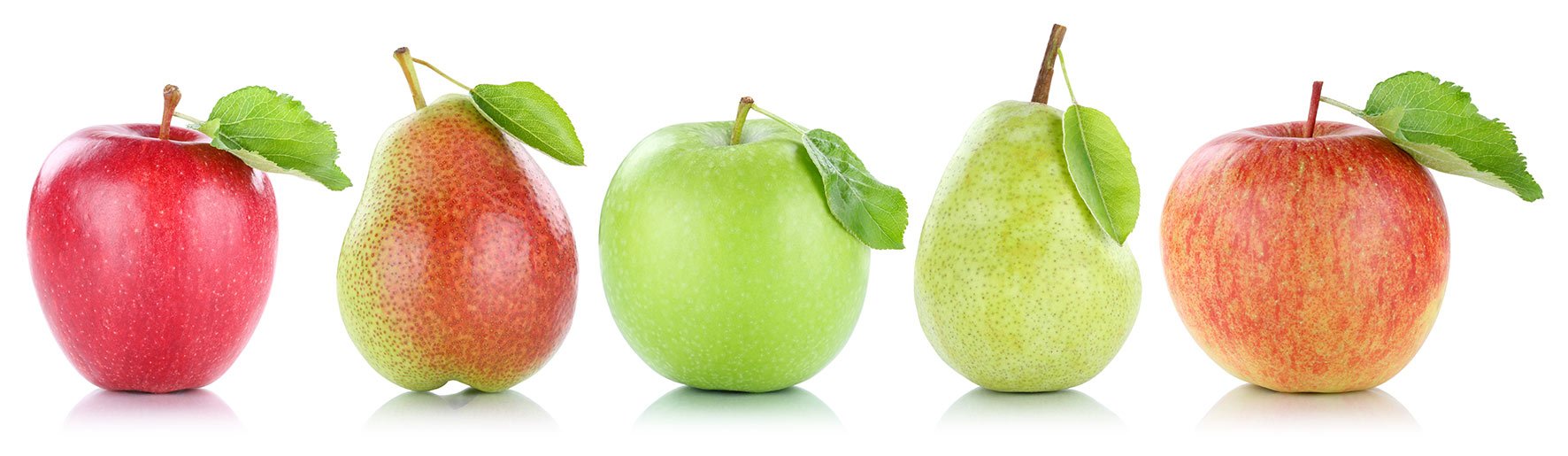 School-and-Corporate-Nutrition-Consulting-berkshire School-and-Corporate-Nutrition-Consulting-berkshire
