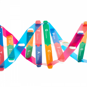 Genetic code for heart health