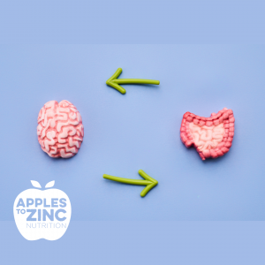 stress and gut health how they impact each other
