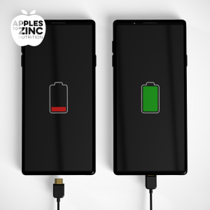 nutrition for stress and resilience battery charge