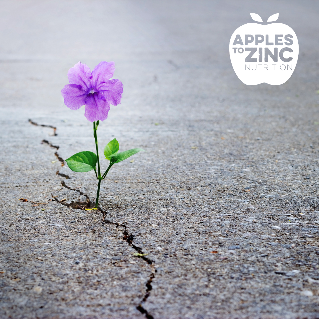 resilience stress and nutrition